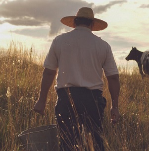 Agricultor de costas em um campo carregando um balde