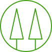 ícone de dois pinheiros