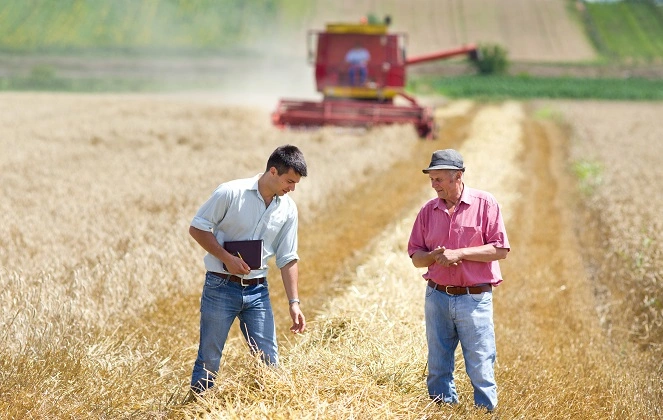  Imagem do site Sicredi 