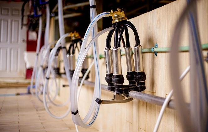  Imagem do site Sicredi 