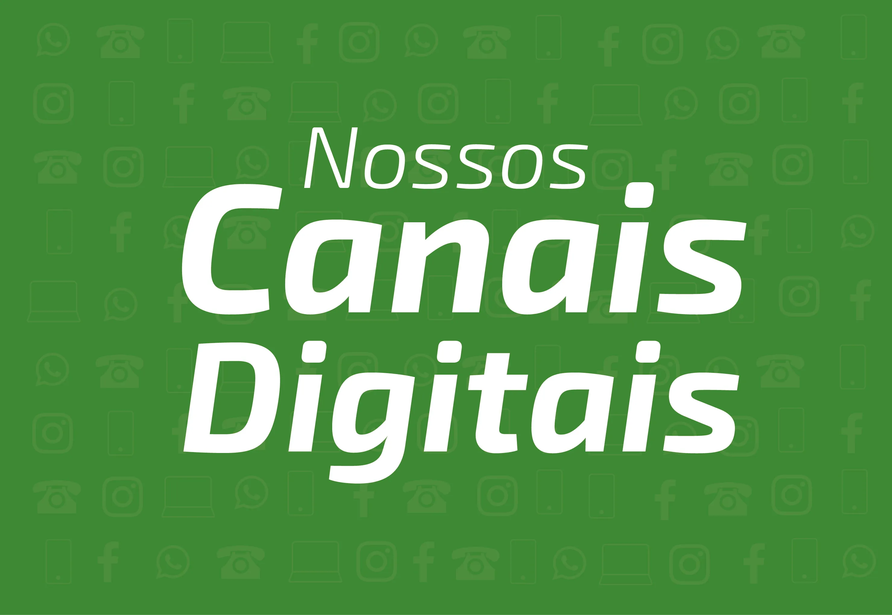  Descrição da imagem: 