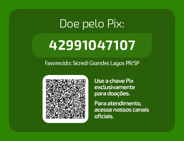  Ajude Rio Bonito do Iguaçu 