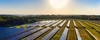  Energia Solar confira 5 vantagens do sistema fotovoltaico para o agronegócio - Blog do Sicredi.jpg 