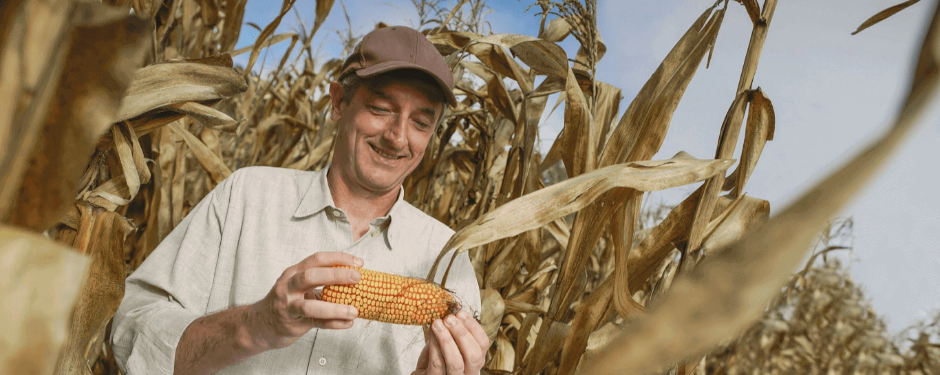  Seguro rural mais segurança para o seu agronegócio - Seguros Sicredi - Blog do Sicredi.jpg 
