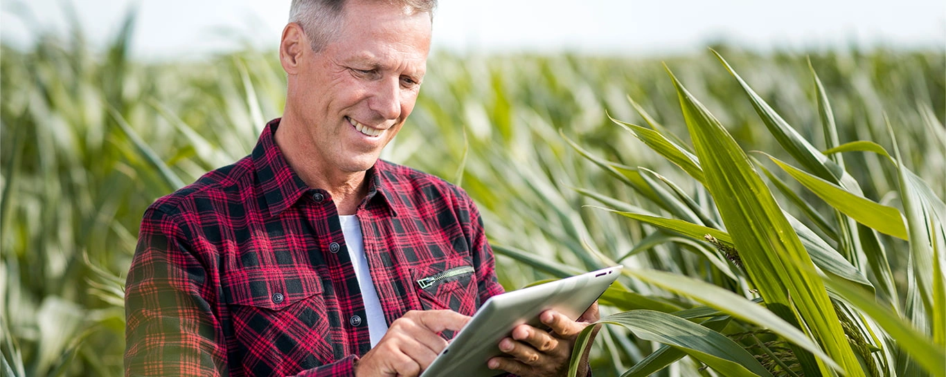  Agronegócio inovação e tecnologia contribuem com o desenvolvimento das atividades agropecuárias - Agronegocio - Sicredi.jpg 