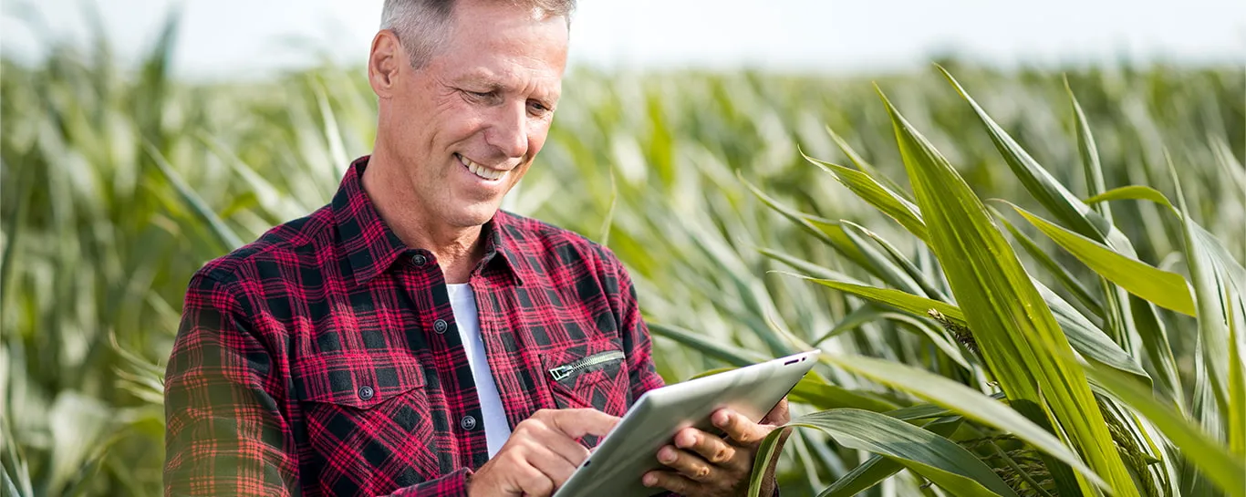  Agronegócio inovação e tecnologia contribuem com o desenvolvimento das atividades agropecuárias - Agronegocio - Sicredi.jpg 