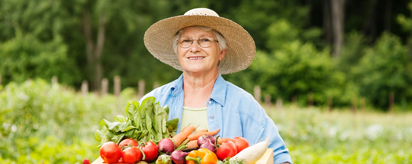  agricultura-familiar-como-melhorar-gestao-financeira-do-negocio.jpg 