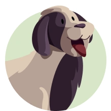  Com o Plano de Saúde Petlove, evite surpresas para você e seu gato 