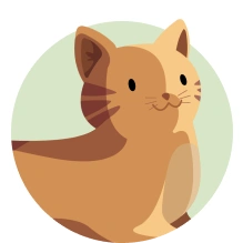  Plano de Saúde Petlove oferecer praticidade para você e seu gato 