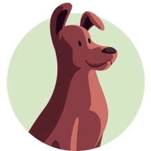  Plano de Saúde Petlove oferecer segurança para você e seu cachorro 