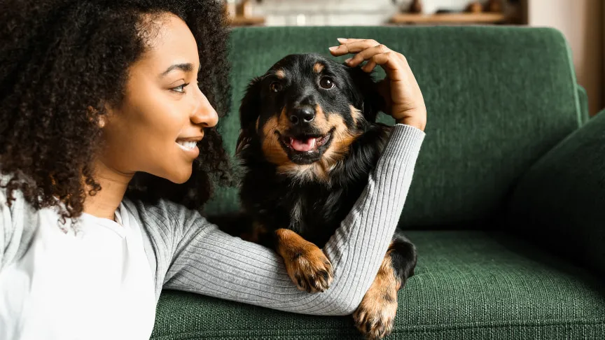  Associada do Sicredi contrata Plano de Saúde para o seu pet com a parceria Sicredi e Petlove Saúde. 