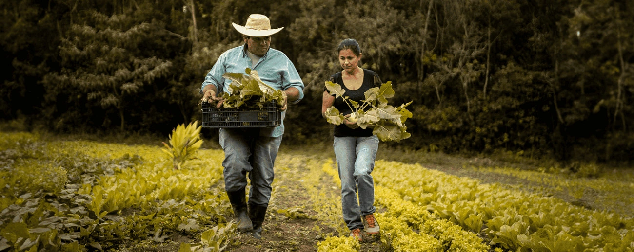  fundos-constitucionais-agro.jpg 