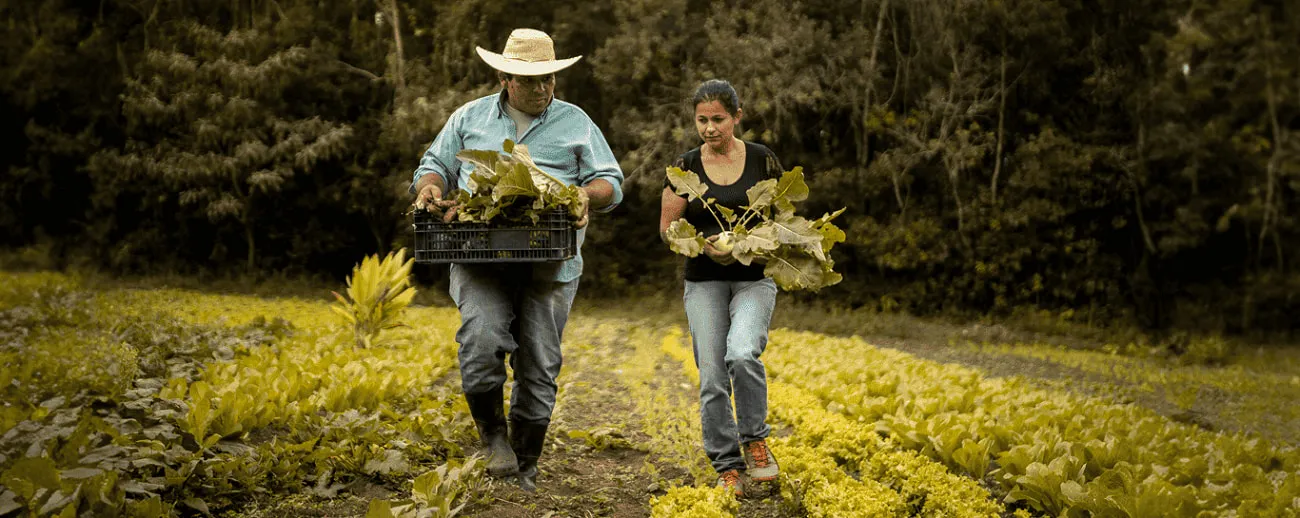  fundos-constitucionais-agro.jpg 
