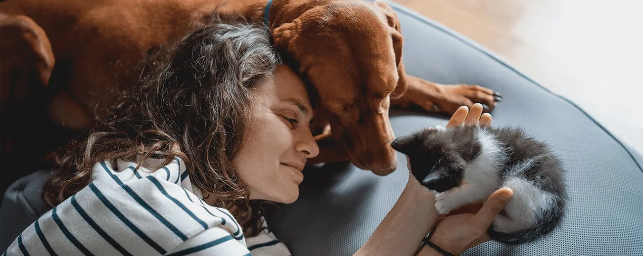  parceria-petlove.jpg 