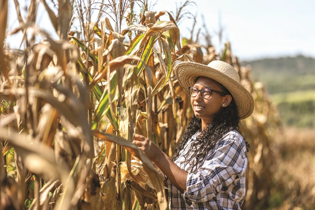  associada do sicredi que usa o custeio pronaf na sua plantação 