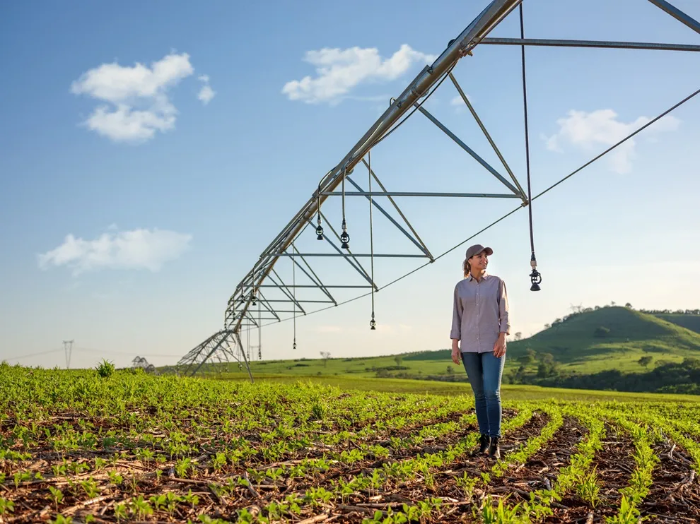  associada do sicredi que usa o custeio agropecuário na sua produção 