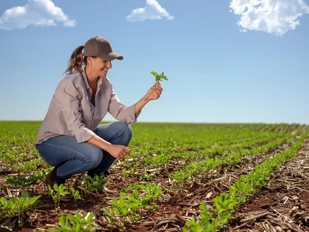  associada do sicredi que usa o custeio agropecuário na sua produção de soja 