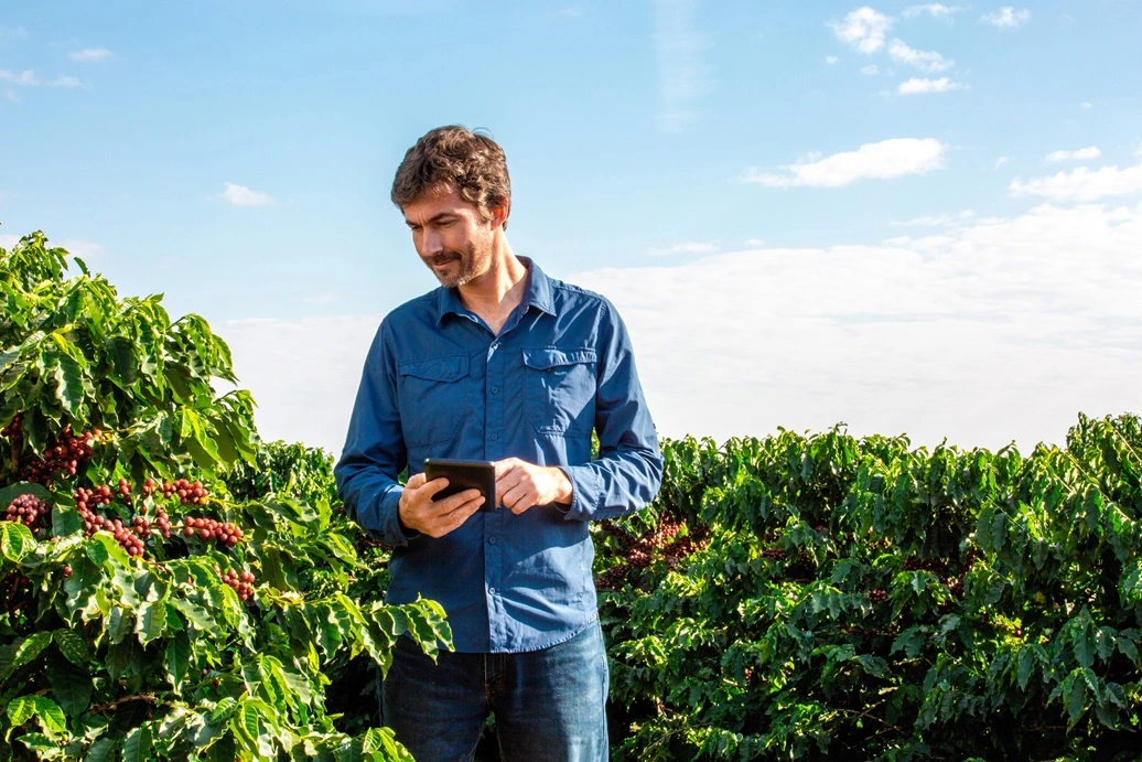  associado do sicredi que usa o custeio agropecuário na sua produção de café 