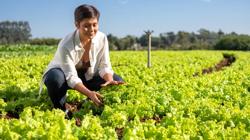  associado produtor rural cuidando da plantação de hortaliças 