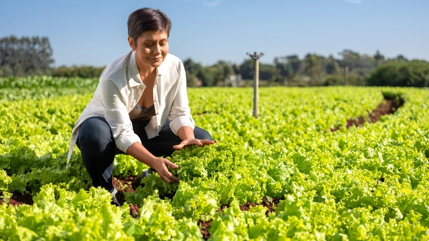  associado produtor rural cuidando da plantação de hortaliças 