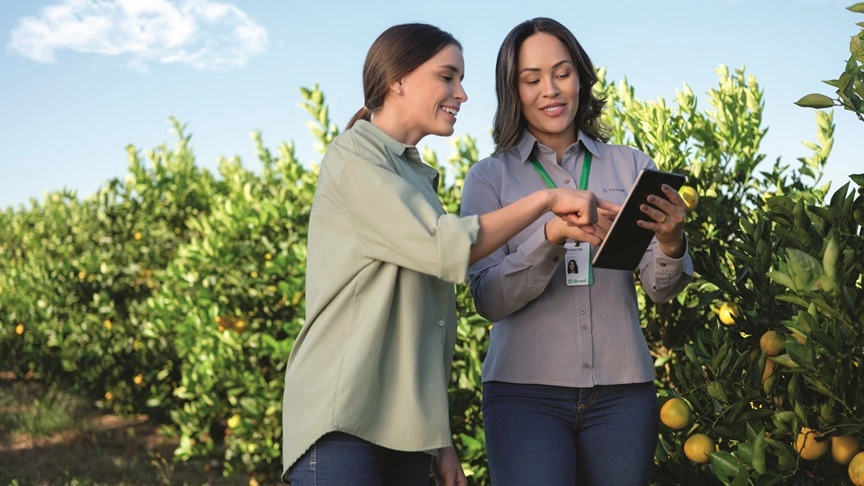  associado produtor rural cuidando da plantação de hortaliças 