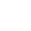  organizador 