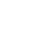  Ícone 