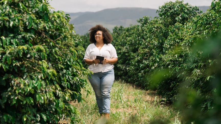  Imagem do site Sicredi 