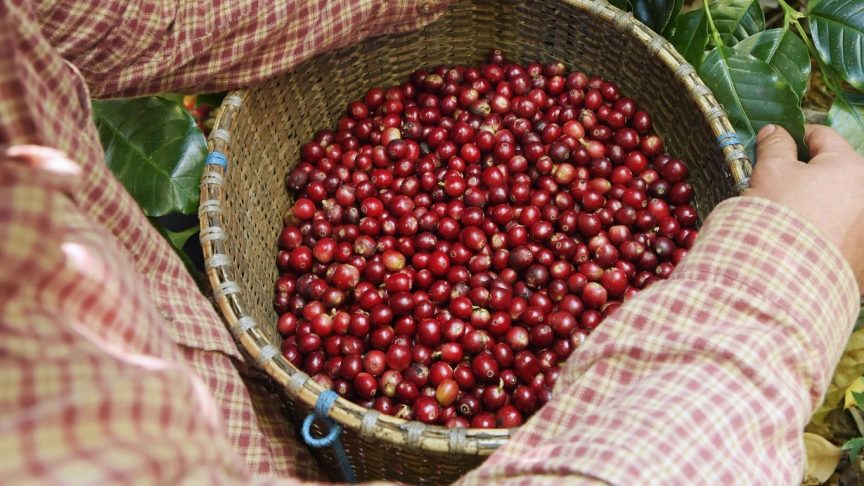  Imagem do site Sicredi 