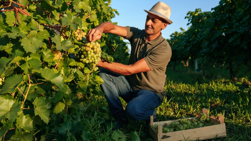  Imagem do site Sicredi 