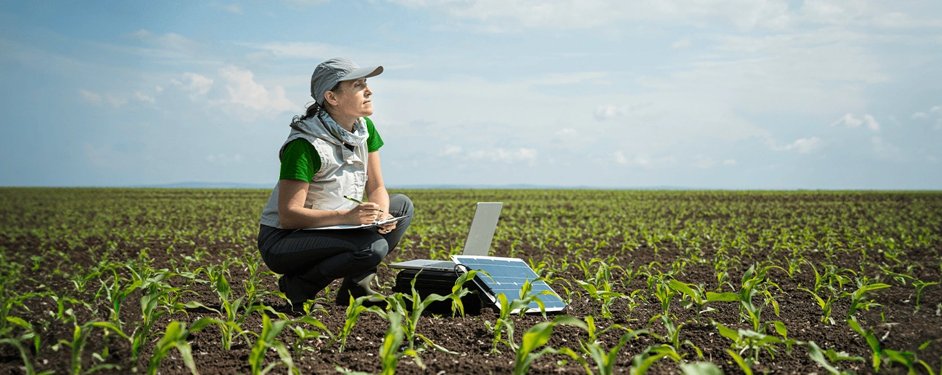  Imagem do site Sicredi 