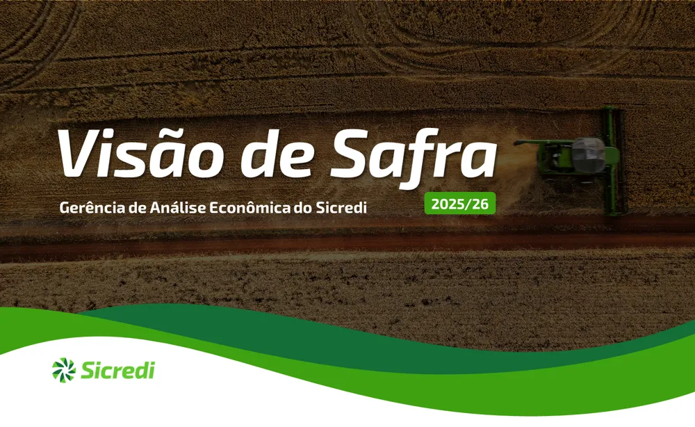  Visão de Safra 2025/26 