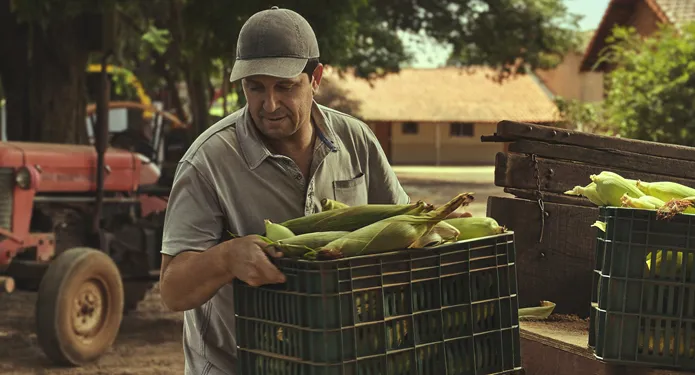  Imagem do site Sicredi 