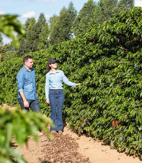  Imagem do site Sicredi 