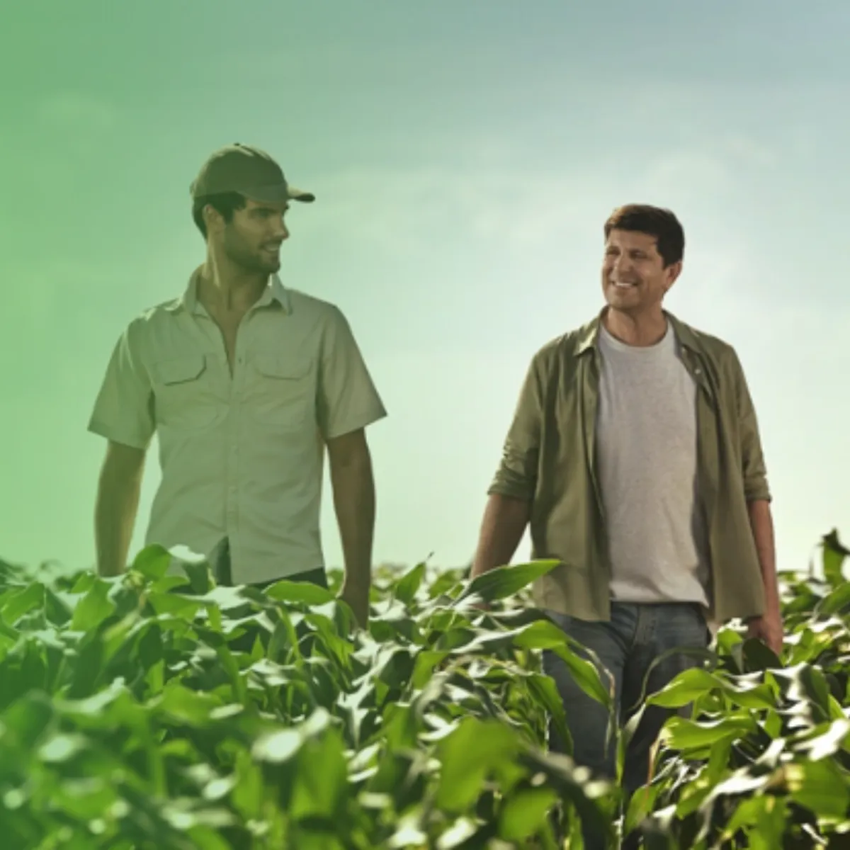  Visão de Safra 2025/26 