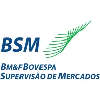  bsm 