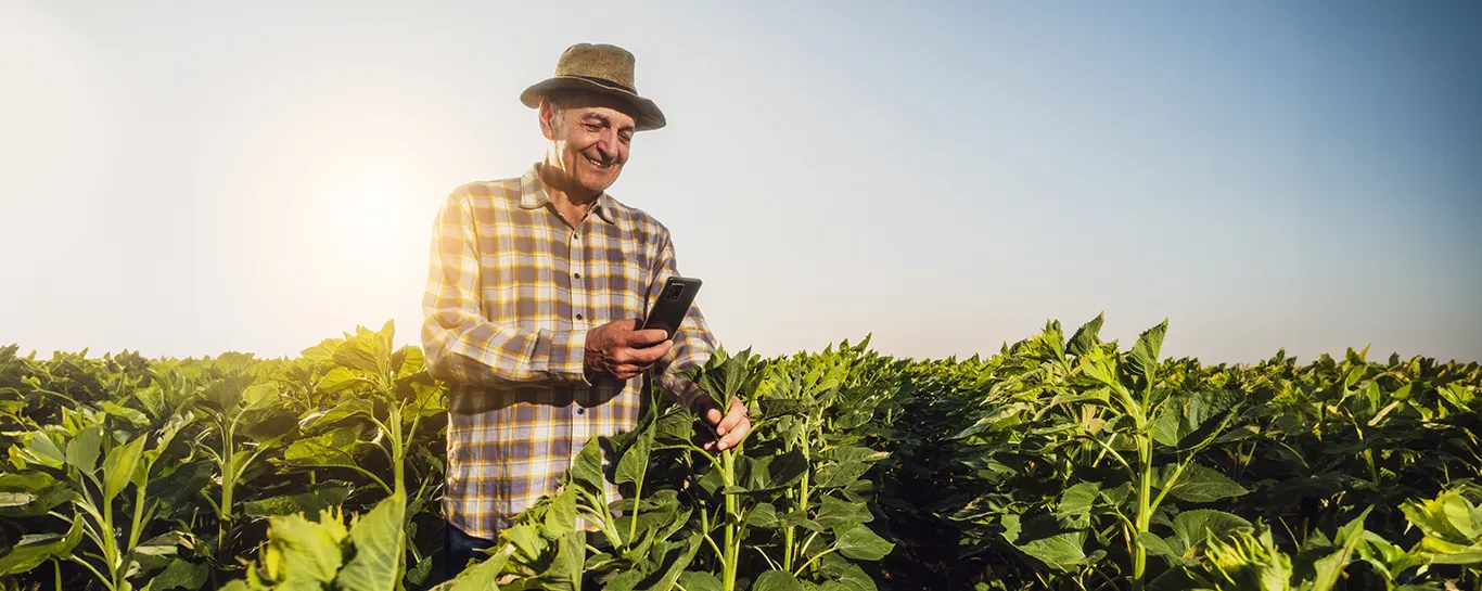  homem de idade com celular na mão em meio a platação 