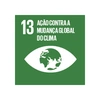  ícone do 13º ODS com a frase "ação contra a mudança global do clima" 