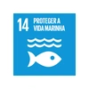  ilustração 14º ODS proteger a vida marinha 