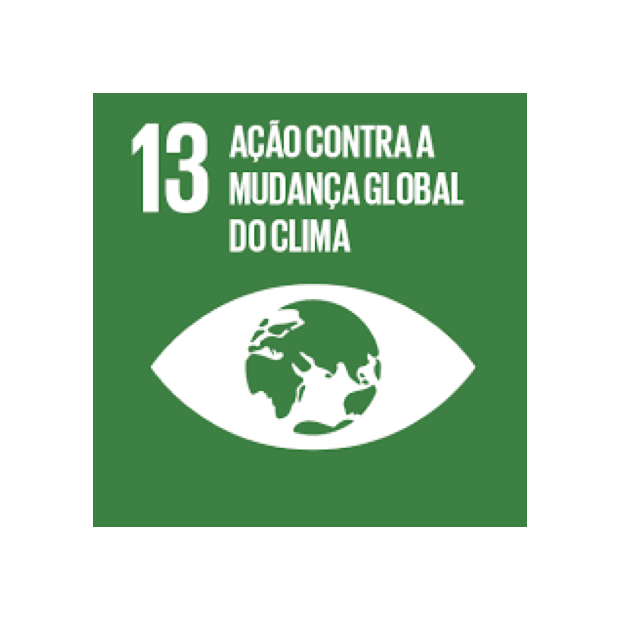 ícone do 13º ODS com a frase "ação contra a mudança global do clima"